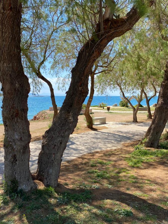 Athens-Riviera Luxury Apartment Sea View Voula Exterior foto